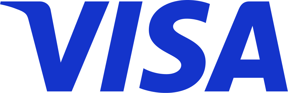 visa icon